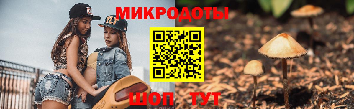 Галлюциногенные грибы прущие грибы Нерюнгри
