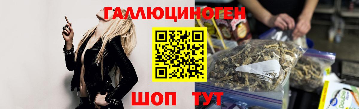 Нерюнгри  Псилоцибиновые грибы GOLDEN TEACHER  Галлюциногенные грибы мухоморы  Вход с VPN 
