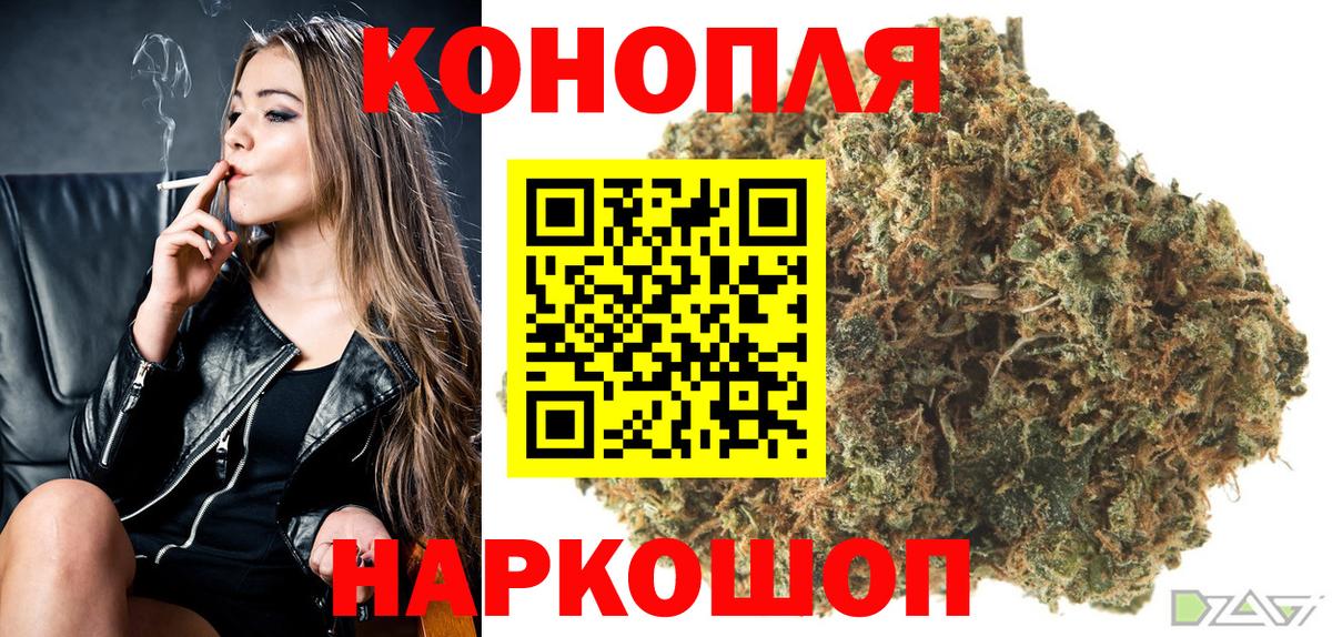 Псилоцибиновые грибы Нерюнгри